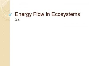 Energy Flow in Ecosystems 3 4 Energy Flow