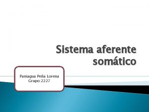 Sistema aferente somtico Paniagua Pea Lorena Grupo 2227