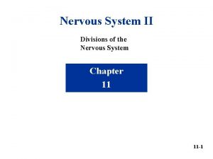 Nervous System II Divisions of the Nervous System