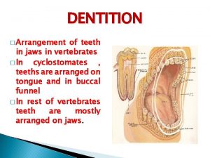 DENTITION Arrangement of teeth in jaws in vertebrates