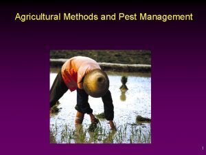 Agricultural Methods and Pest Management 1 Shifting Agriculture