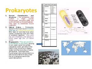 Prokaryotes 1 2 3 General Characteristics and structures