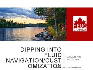 DIPPING INTO FLUID NAVIGATIONCUST OMIZATION SESSION 7045 Nov