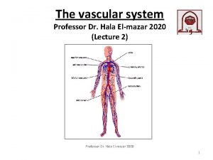 The vascular system Professor Dr Hala Elmazar 2020