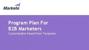 Program Plan For B 2 B Marketers Customizable