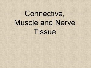 Connective Muscle and Nerve Tissue Connective Tissues 2