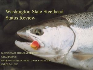 Washington State Steelhead Status Review PACIFIC COAST STEELHEAD