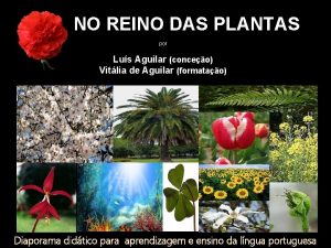 NO REINO DAS PLANTAS por Lus Aguilar conceo