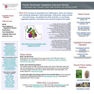 Pacific Northwest Vegetable Extension Group of Washington State