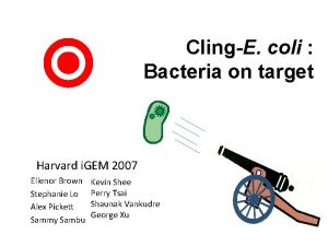 ClingE coli Bacteria on target Harvard i GEM