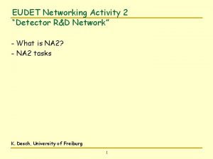 EUDET Networking Activity 2 Detector RD Network What