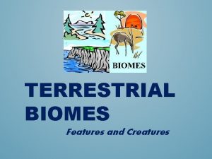TERRESTRIAL BIOMES Features and Creatures VOCABULARY TO LEARN