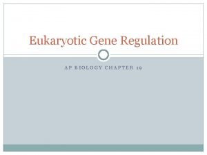 Eukaryotic Gene Regulation AP BIOLOGY CHAPTER 19 Prokaryotic
