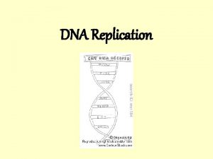 DNA Replication Replication and cell division All DNA