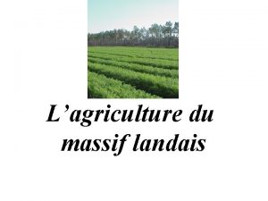 Lagriculture du massif landais Lagriculture du massif landais