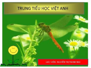 TRUNG TIU HC VIT ANH GIO VIN NGUYN