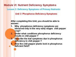 Module VI Nutrient Deficiency Symptoms Lesson 2 Deficiency