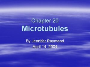 Chapter 20 Microtubules By Jennifer Raymond April 14