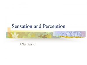 Sensation and Perception Chapter 6 Our Sensational Senses
