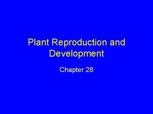 Plant Reproduction and Development Chapter 28 Angiosperm Life