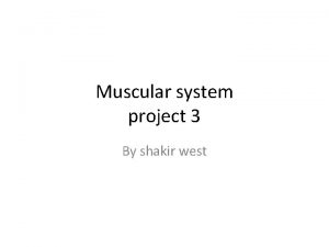 Muscular system project 3 By shakir west 3