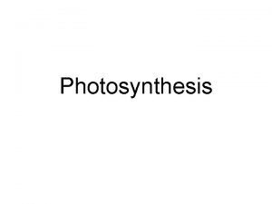 Photosynthesis How Energy is Obtained By Living Things