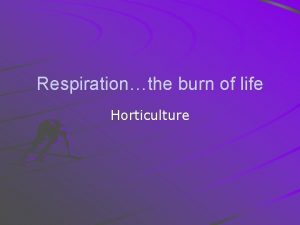 Respirationthe burn of life Horticulture Objectives Define respiration