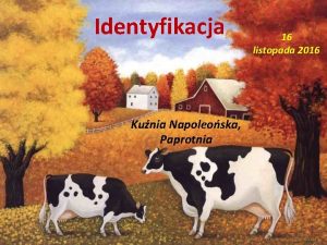 Identyfikacja Kunia Napoleoska Paprotnia 16 listopada 2016 I