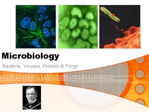 Microbiology Bacteria Viruses Protists Fungi The Story of