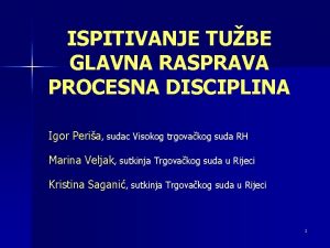 ISPITIVANJE TUBE GLAVNA RASPRAVA PROCESNA DISCIPLINA Igor Peria