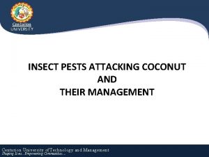 Centurion UNIVERSITY INSECT PESTS ATTACKING COCONUT AND THEIR