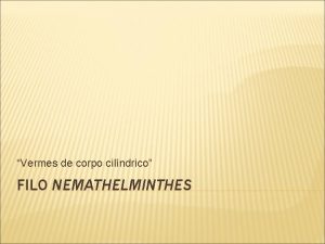 Vermes de corpo cilndrico FILO NEMATHELMINTHES CARACTERSTICAS GERAIS