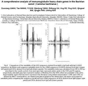 A comprehensive analysis of immunoglobulin heavy chain genes