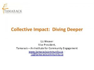 Collective Impact Diving Deeper Liz Weaver Vice President