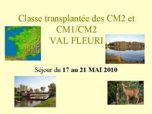 Classe transplante des CM 2 et CM 1CM