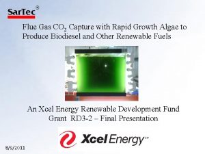 Flue Gas CO 2 Capture with Rapid Growth