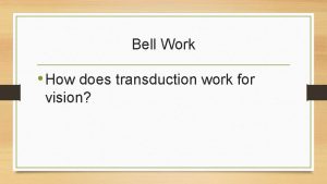 Bell Work How does transduction work for vision