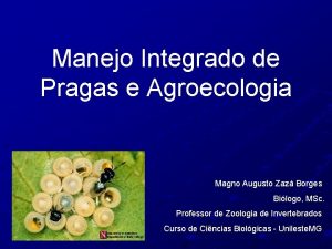 Manejo Integrado de Pragas e Agroecologia Magno Augusto