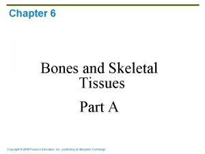 Chapter 6 Bones and Skeletal Tissues Part A