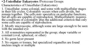 2 Unicellular Eukaryotes Protozoan Groups Characteristics of Unicellular