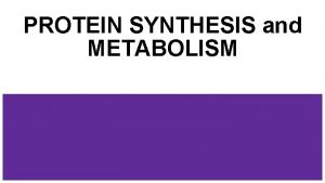 PROTEIN SYNTHESIS and METABOLISM Protein Synthesis Gene Expression