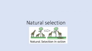 Natural selection Starter Why would it be extremely