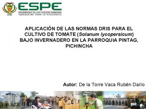 APLICACIN DE LAS NORMAS DRIS PARA EL CULTIVO