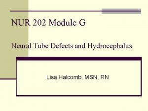 NUR 202 Module G Neural Tube Defects and