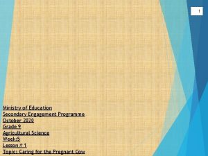 1 Ministry of Education Secondary Engagement Programme October