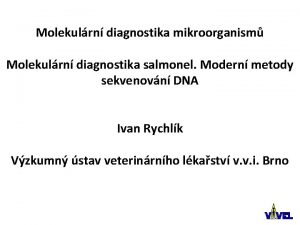 Molekulrn diagnostika mikroorganism Molekulrn diagnostika salmonel Modern metody