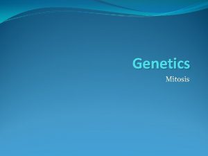 Genetics Mitosis In eukaryotic cells the genetics information