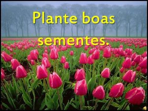 Plante boas sementes Cultive a sua terra interior