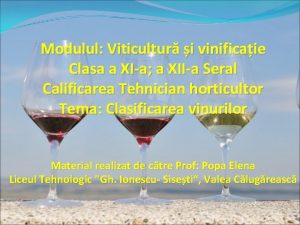 Modulul Viticultur i vinificaie Clasa a XIa a