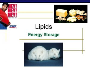 Lipids Energy Storage AP Biology Lipids n Lipids
